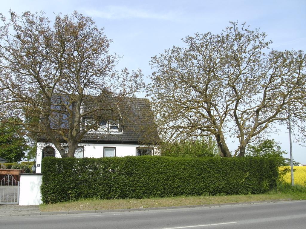 Ferienwohnung Ferienhaus am Fuchsberg Dahme  Exterior foto