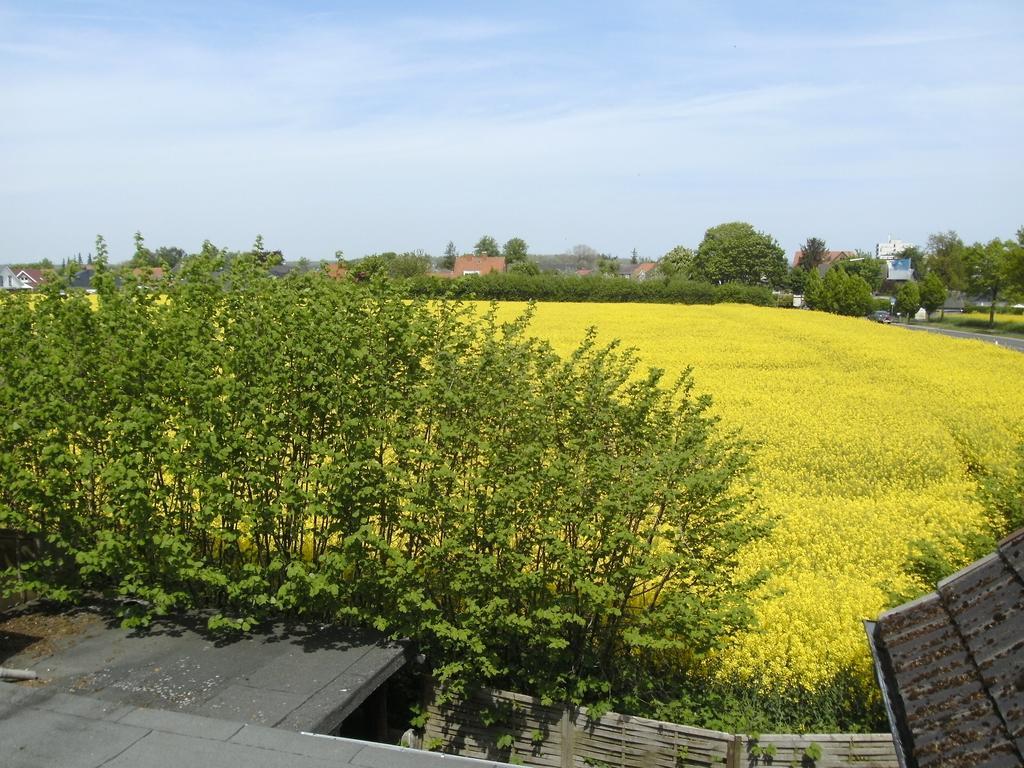 Ferienwohnung Ferienhaus am Fuchsberg Dahme  Exterior foto